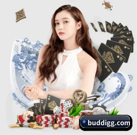 开云网页登陆入口 APP 界面