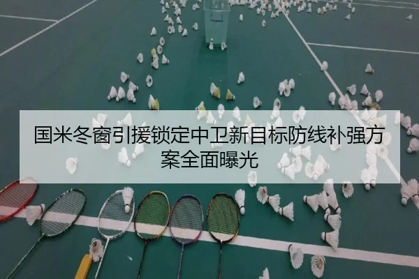 国米冬窗引援锁定中卫新目标防线补强方案全面曝光